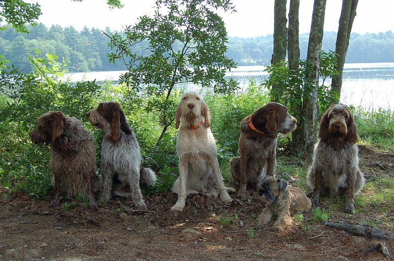 17ApolloDogsJuly31_08 014.jpg